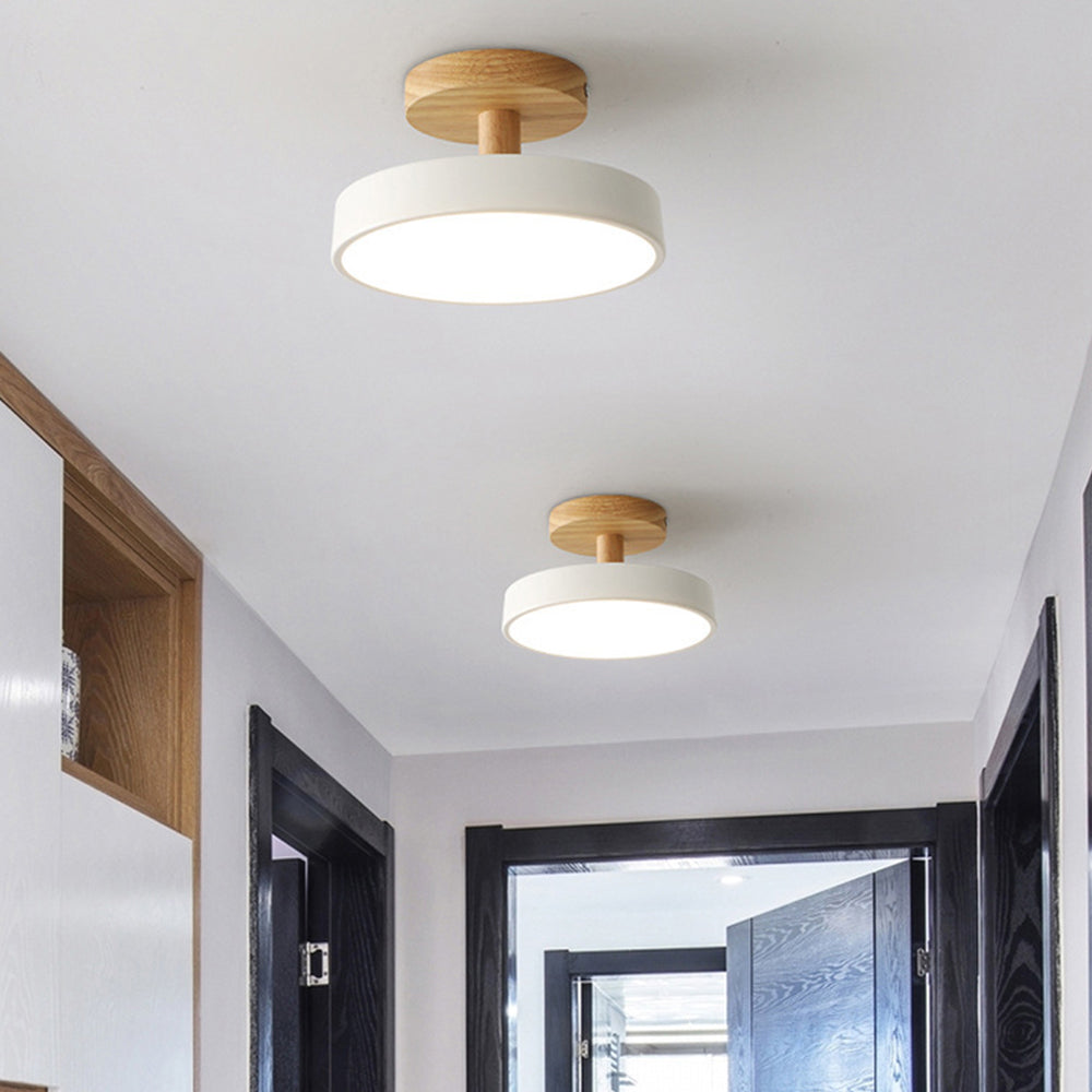 Round Iron LED Ceiling Light