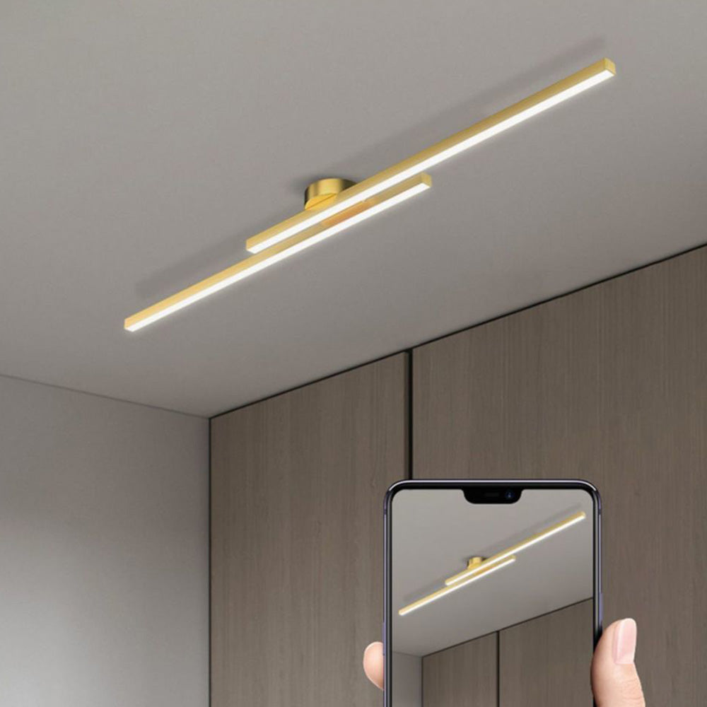 Elongated Aluminum LED Ceiling Light