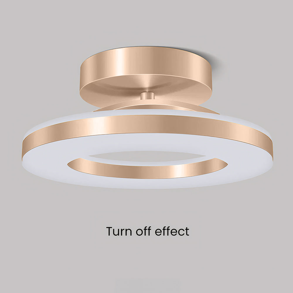 Modern LED Ceiling Lamp for the Hall