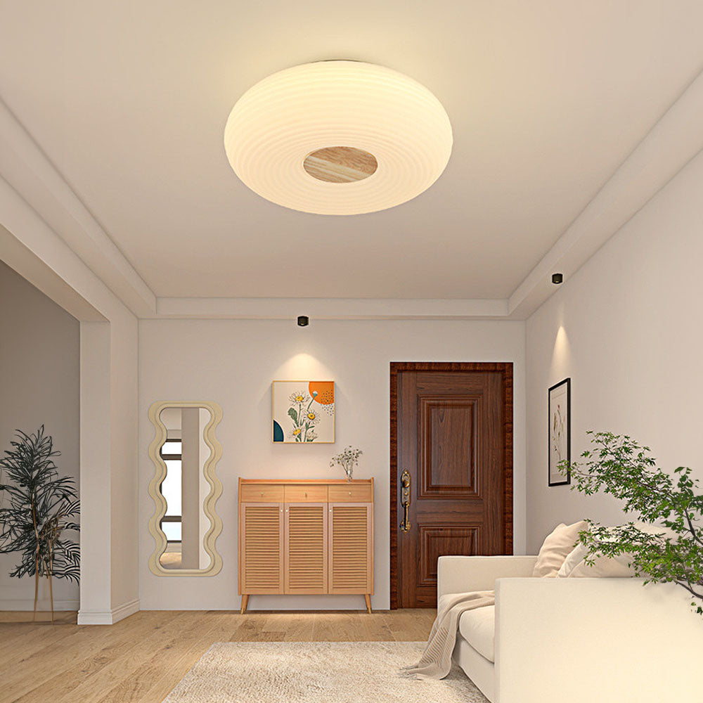 Organic Form LED Ceiling Light