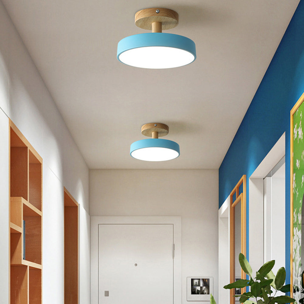 Round Iron LED Ceiling Light