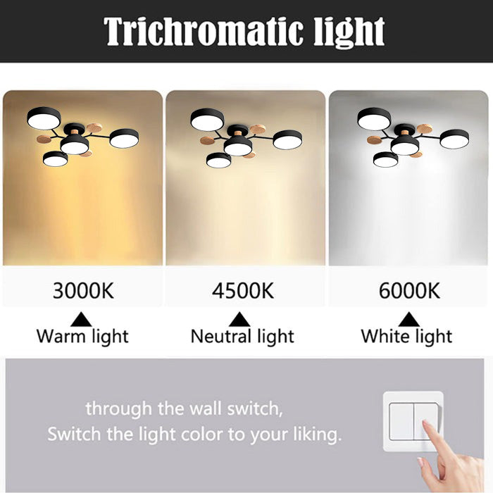 Circular LED Ceiling Light