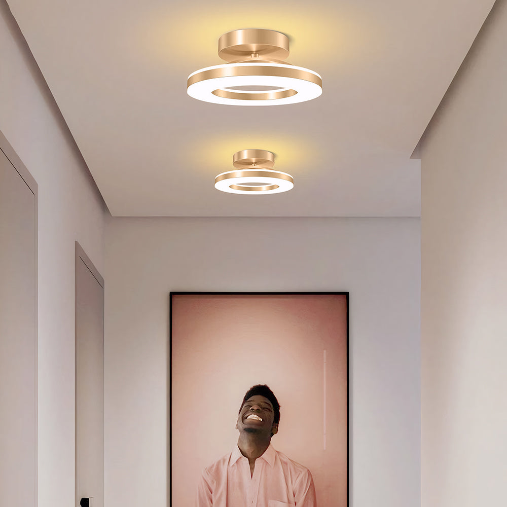 Modern LED Ceiling Lamp for the Hall