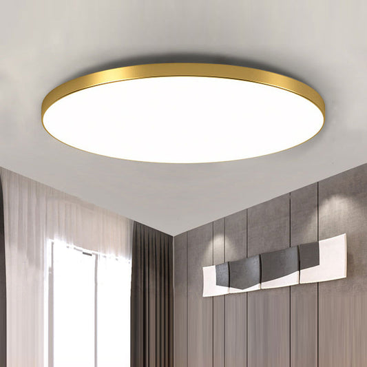 Modern LED Ceiling Light