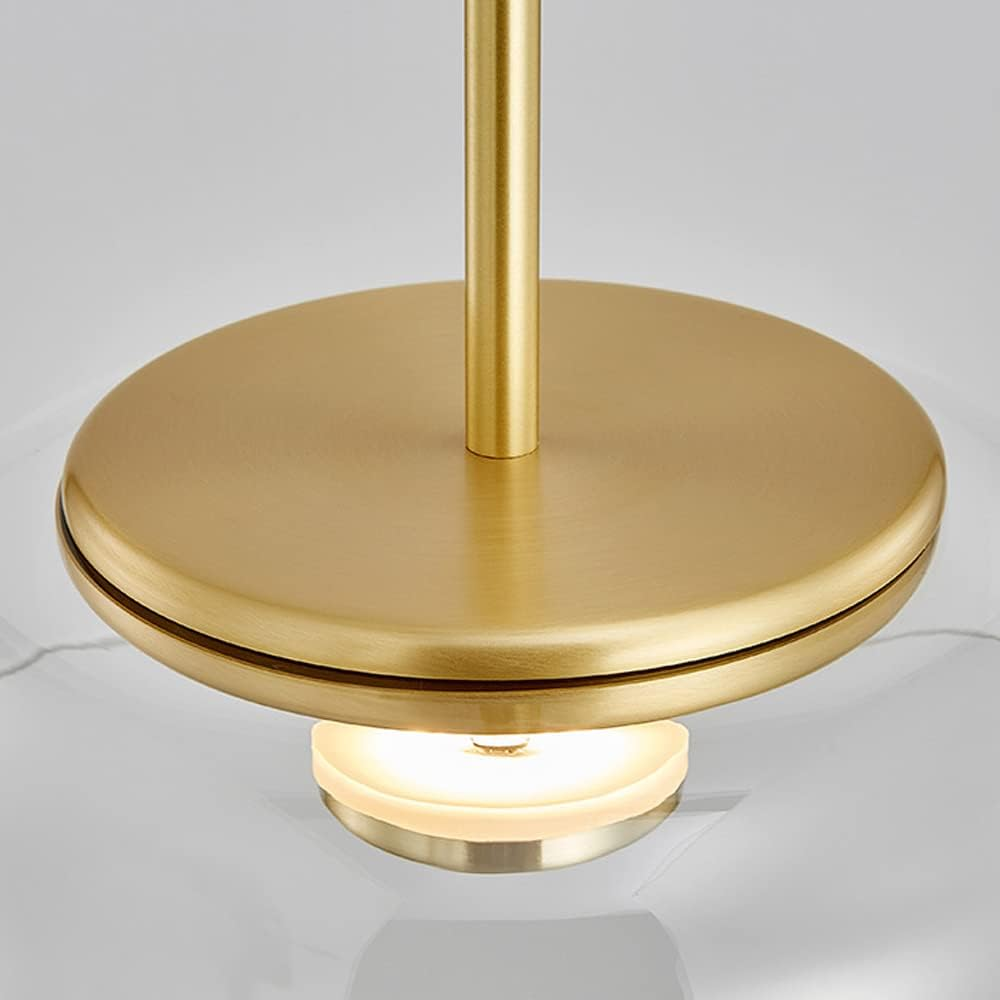 Contemporary Glass Shade Pendant