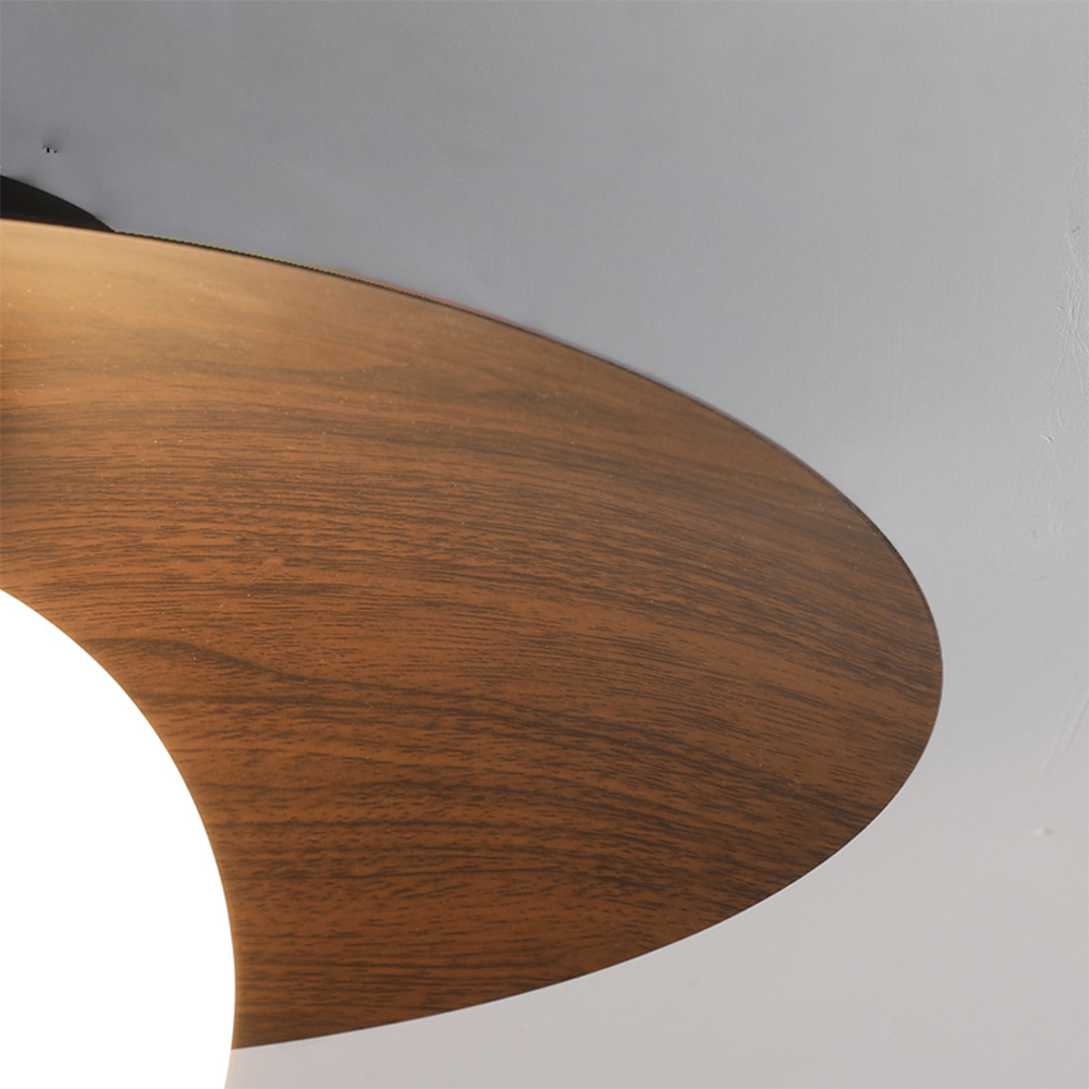 Entrance Ceiling Light