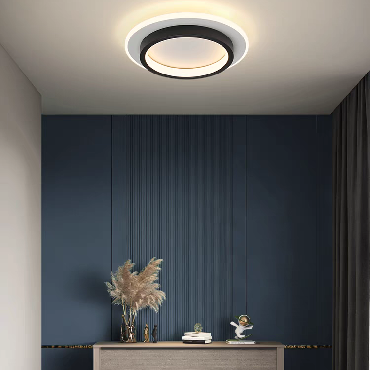 Round Metal & Acrylic Ceiling Light