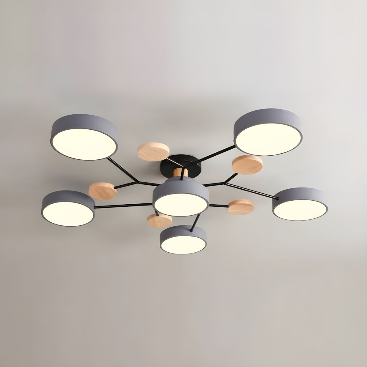 Circular LED Ceiling Light