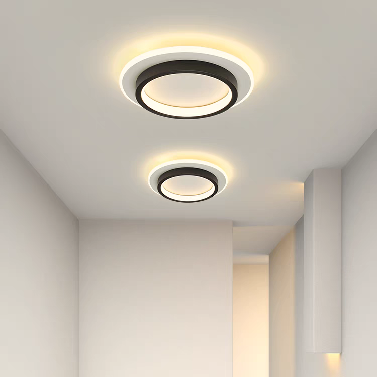Round Metal & Acrylic Ceiling Light