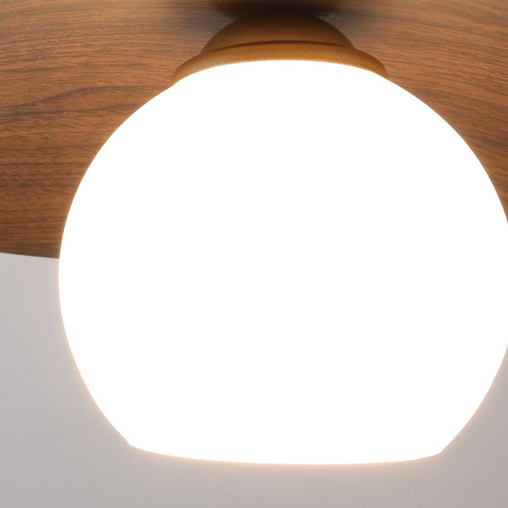 Entrance Ceiling Light
