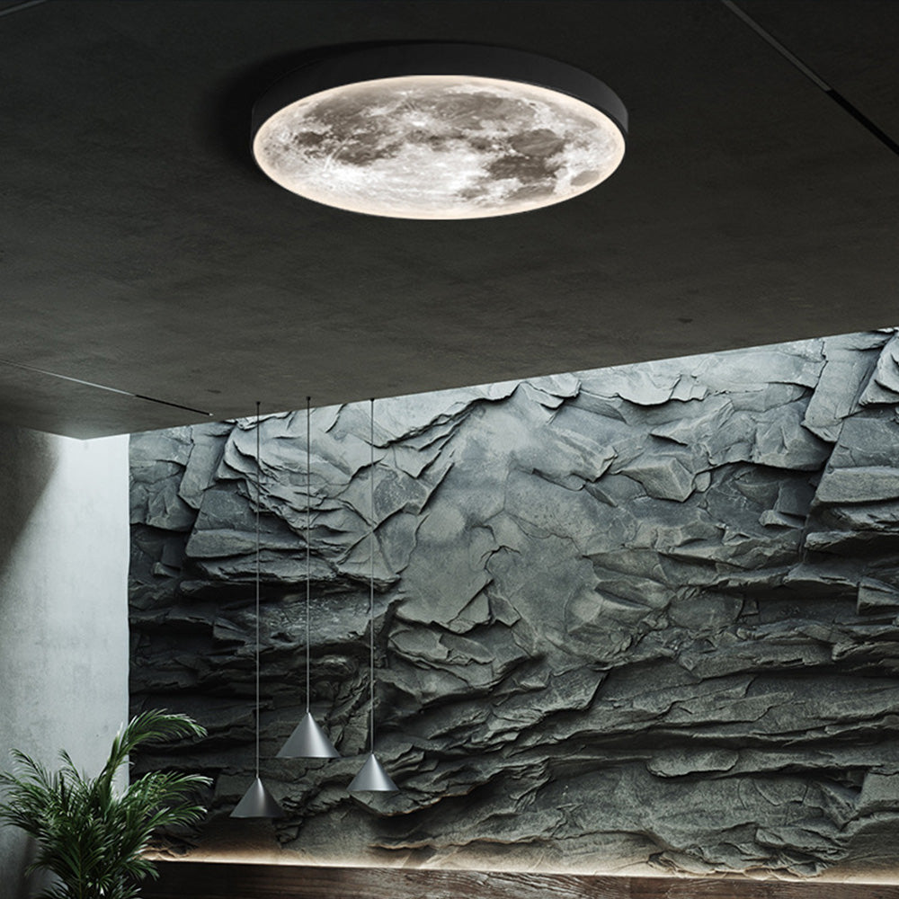 Modern Artistic LED Ceiling Light