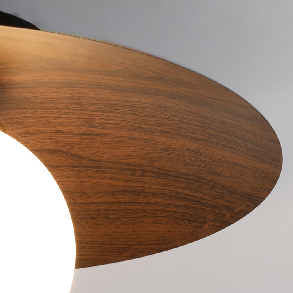 Entrance Ceiling Light