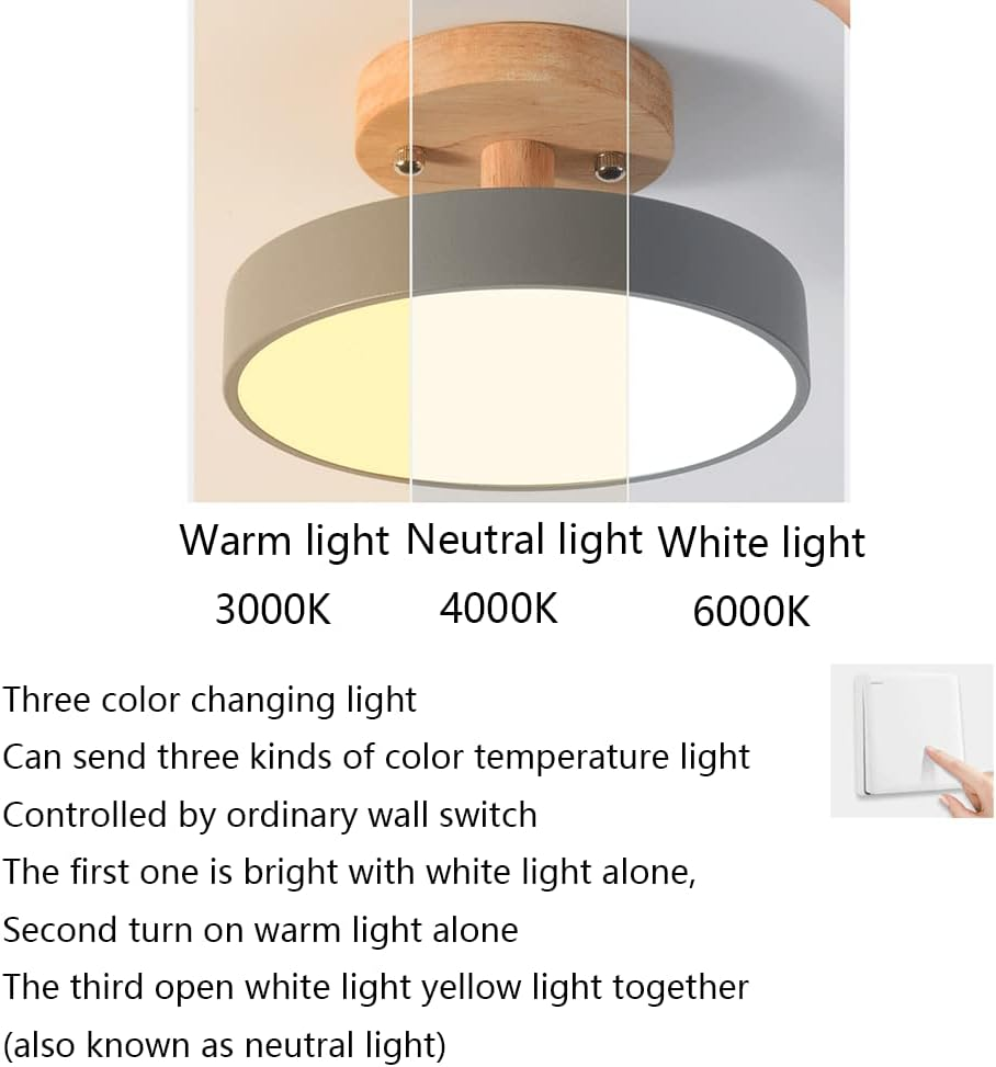 Colorful LED Ceiling Lamp with Modern Design