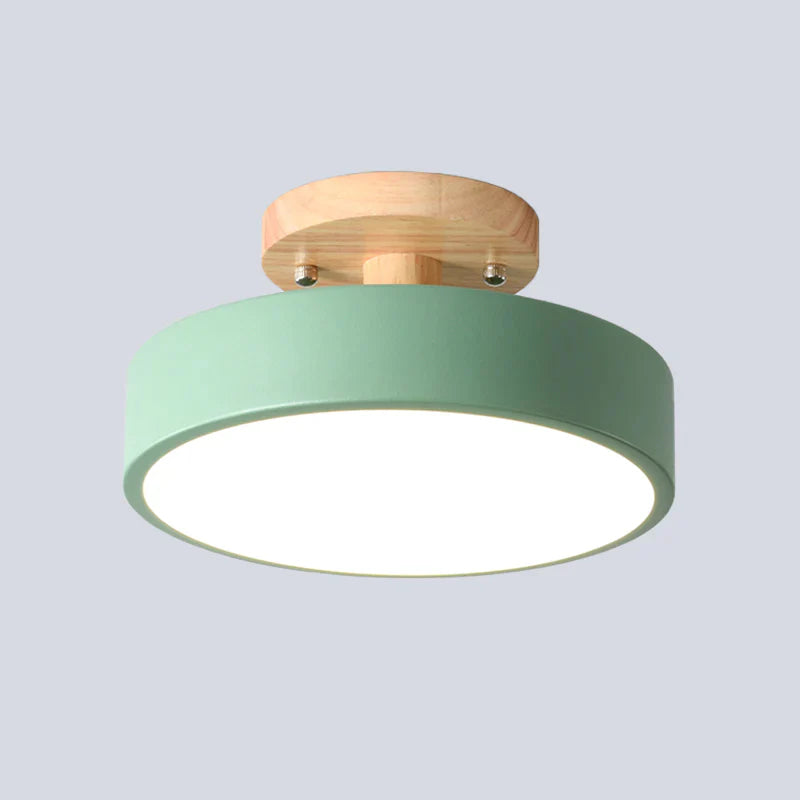 LED Ceiling Light