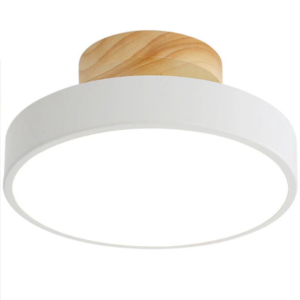 LED Ceiling Light