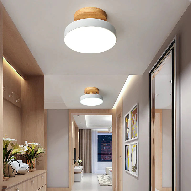LED Ceiling Light