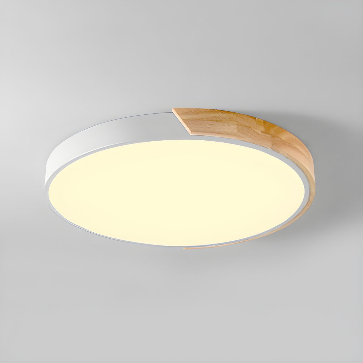 Colorful Round LED Ceiling Light