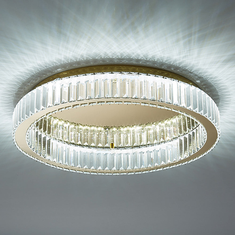 Elegant Crystal Halo Light