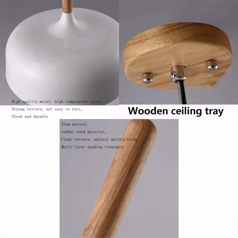 Vibrant Dome Pendant Light