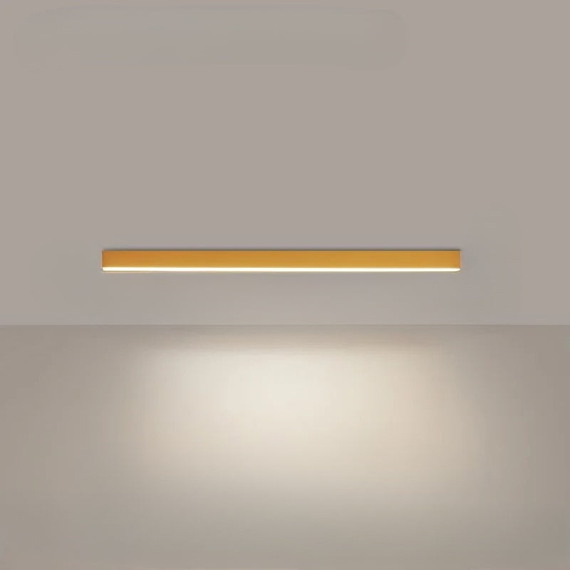 Stylish LED Ceiling Light