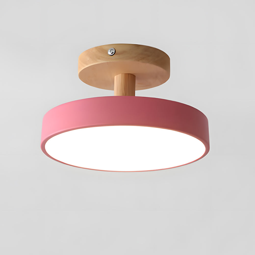 Round Iron LED Ceiling Light