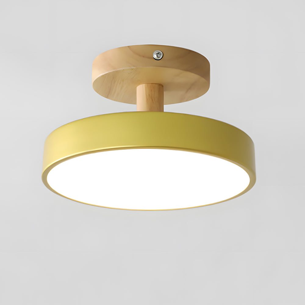 Round Iron LED Ceiling Light