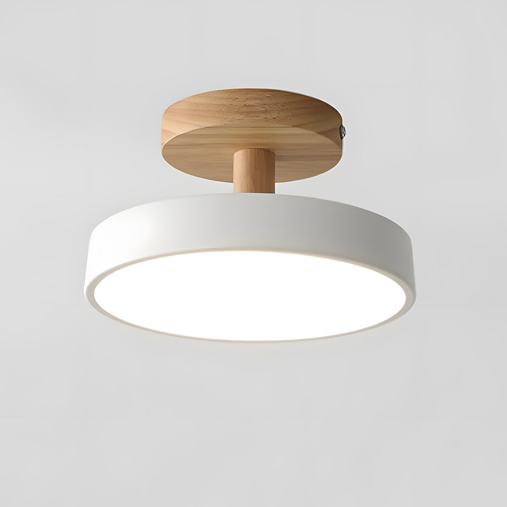 Round Iron LED Ceiling Light
