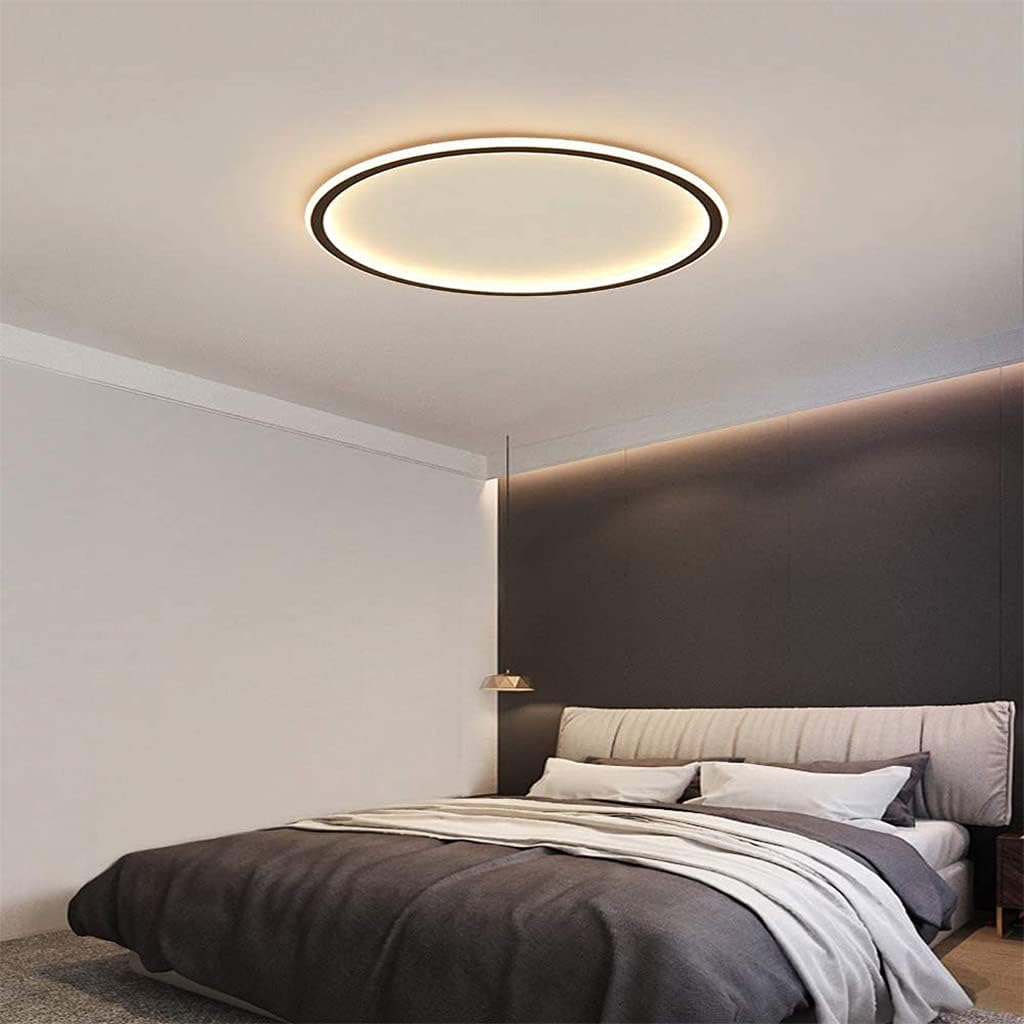 Contemporary Disc Ceiling Lamp