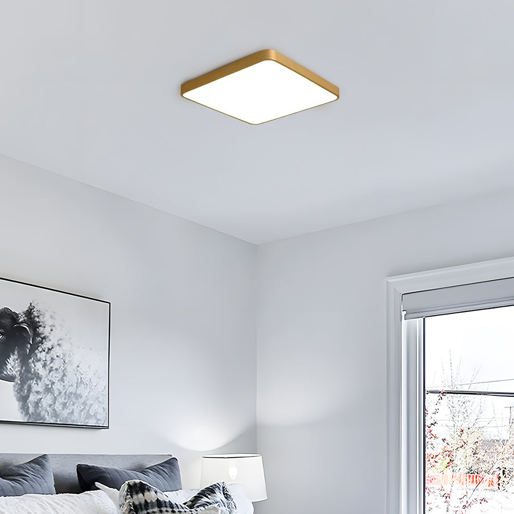 Soft Glow Ceiling Light