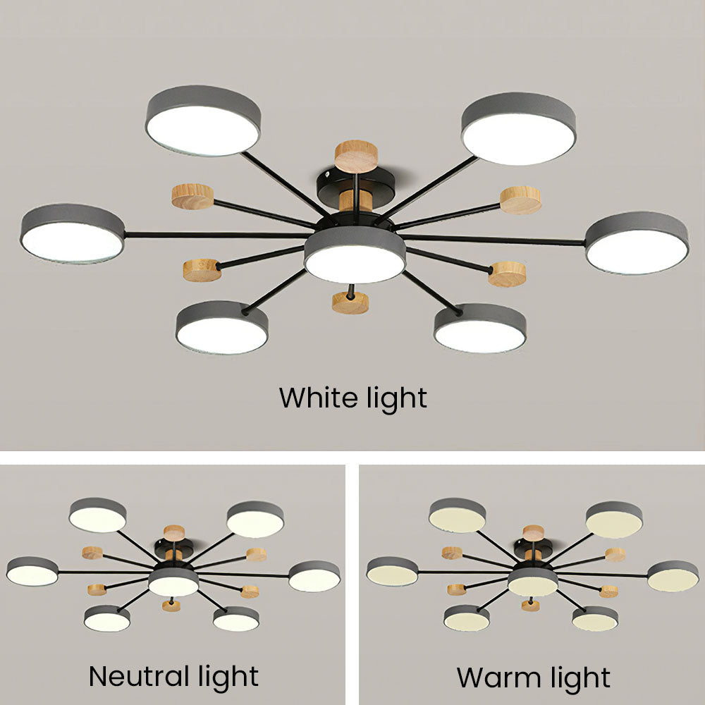 Modern LED Flower Ceiling Light