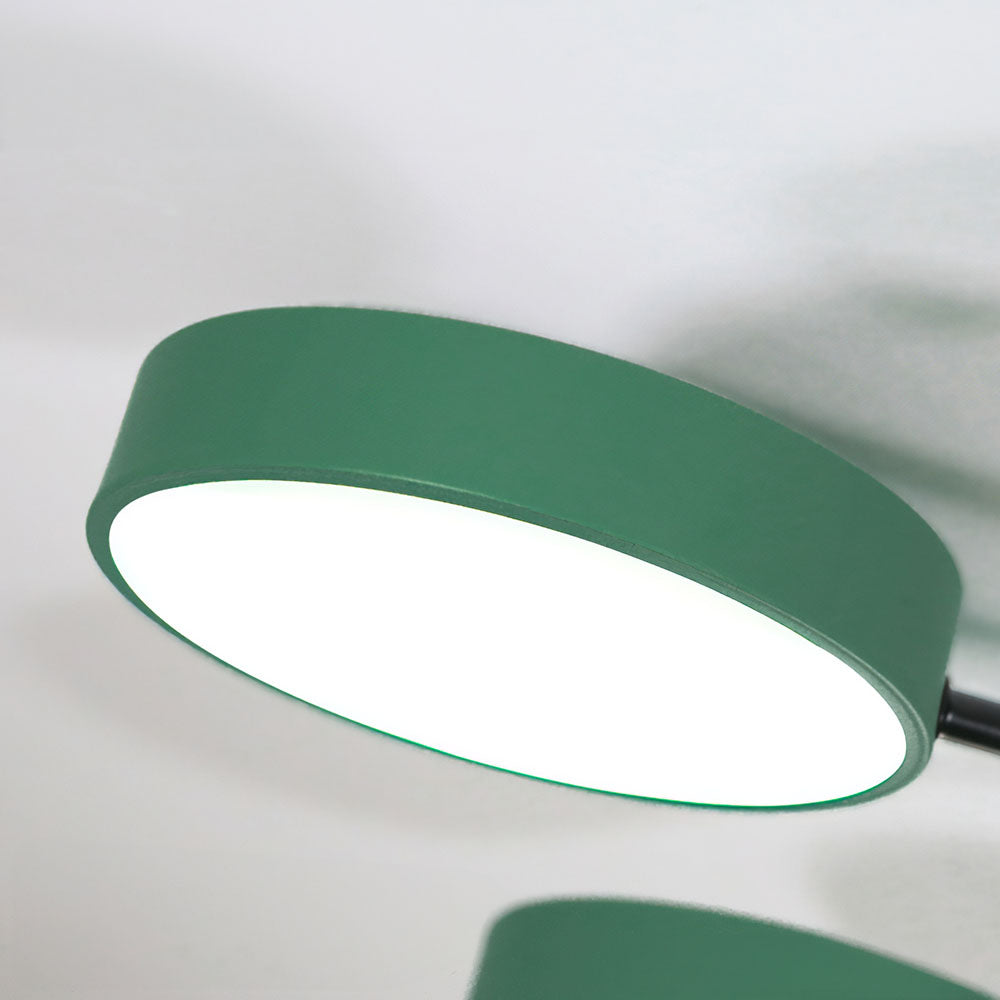 Modern LED Flower Ceiling Light