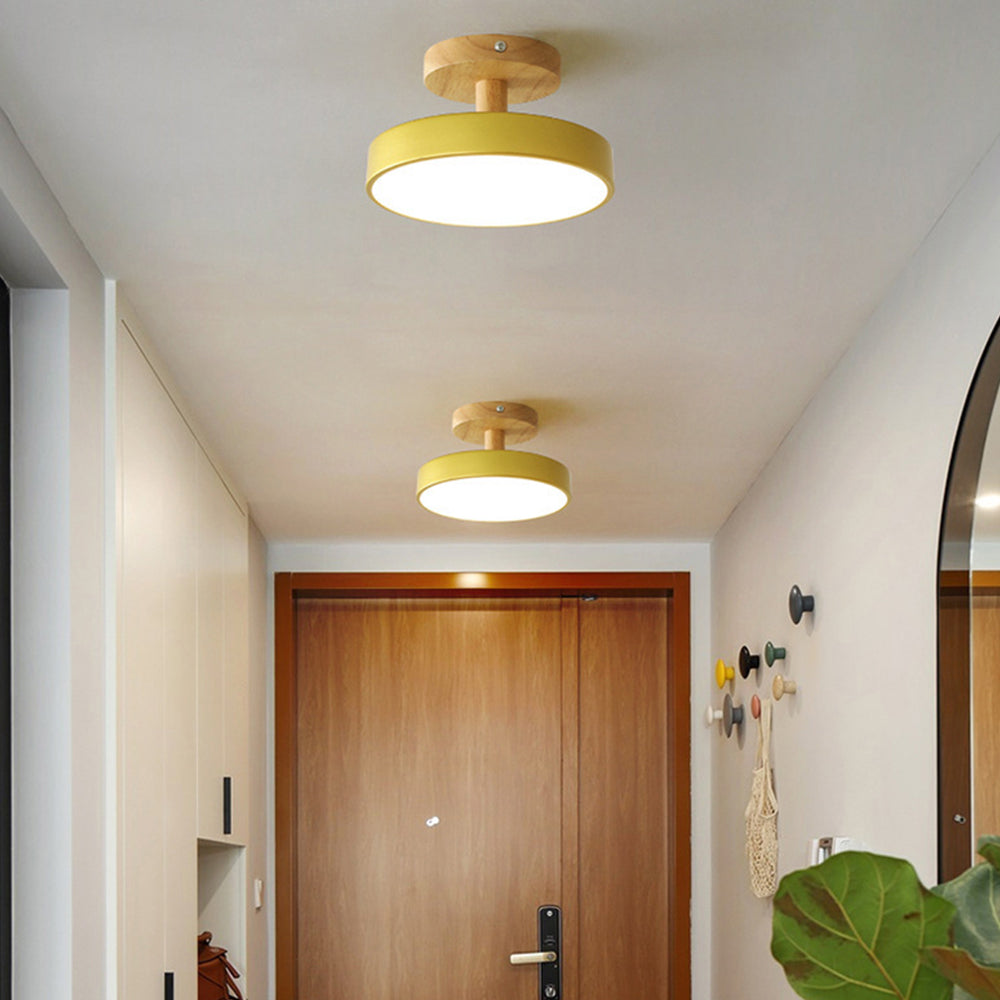 Round Iron LED Ceiling Light