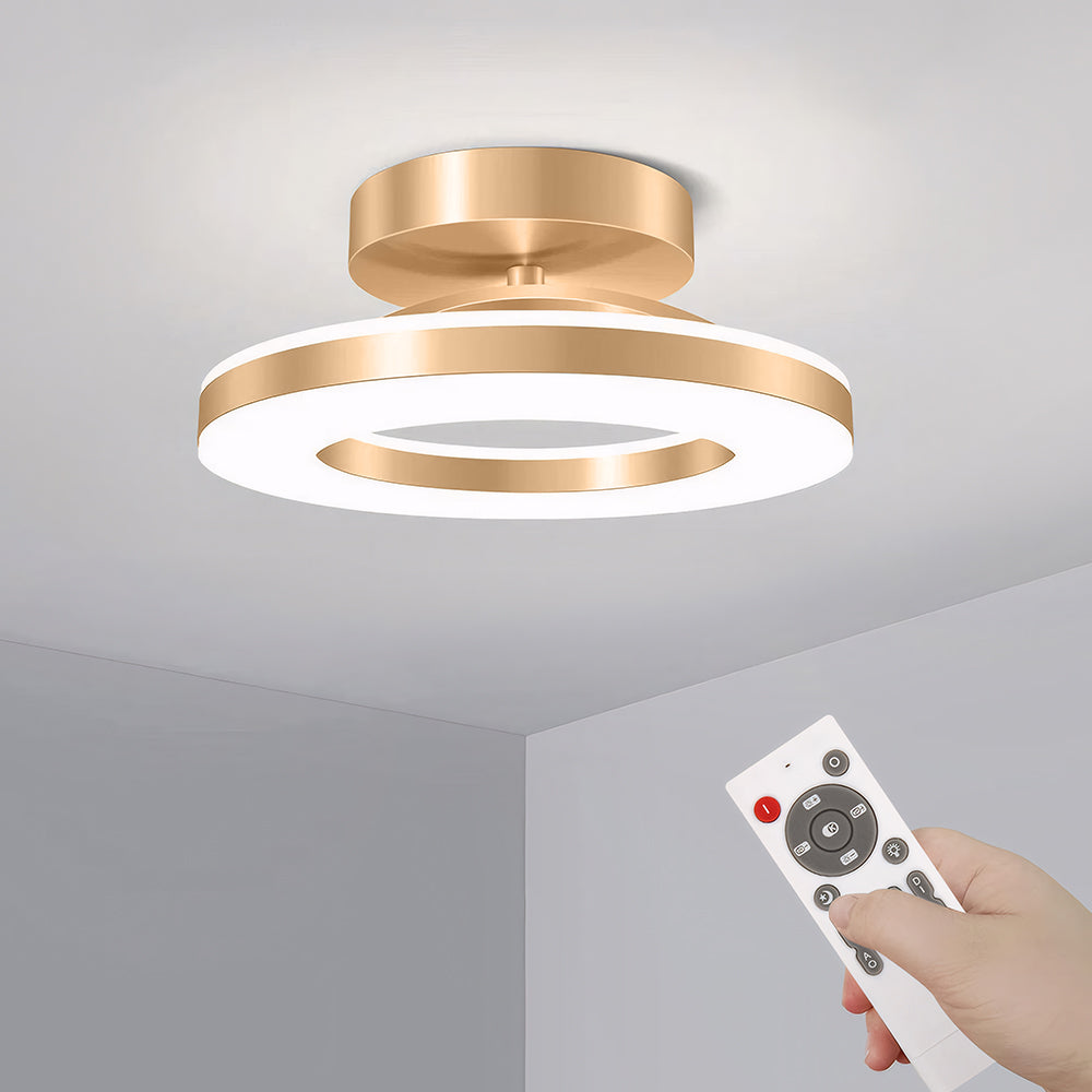 Modern LED Ceiling Lamp for the Hall