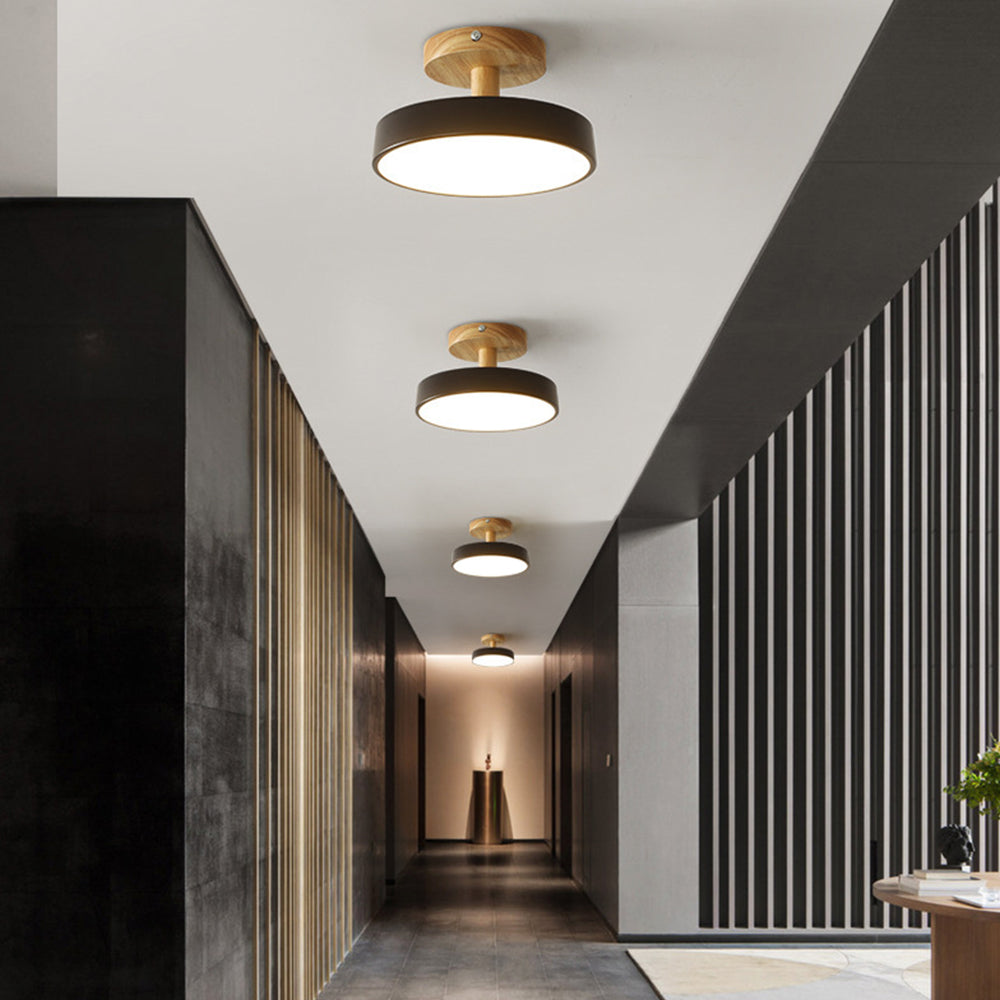 Round Iron LED Ceiling Light