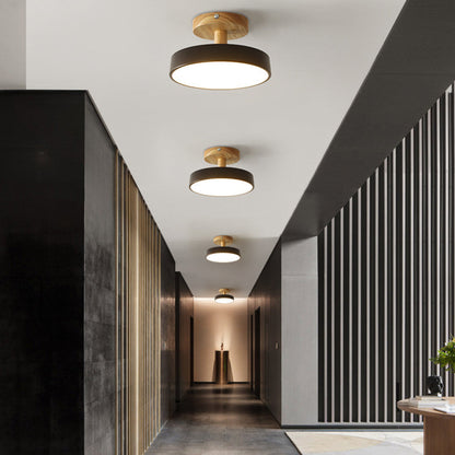 Round Iron LED Ceiling Light
