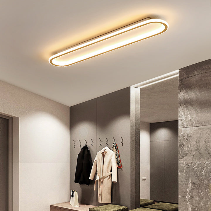 Modern LED Ceiling Light Fixture