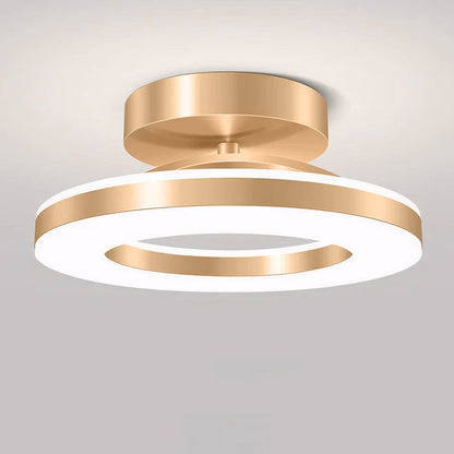 Modern LED Ceiling Lamp for the Hall