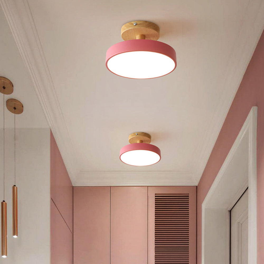 Round Iron LED Ceiling Light