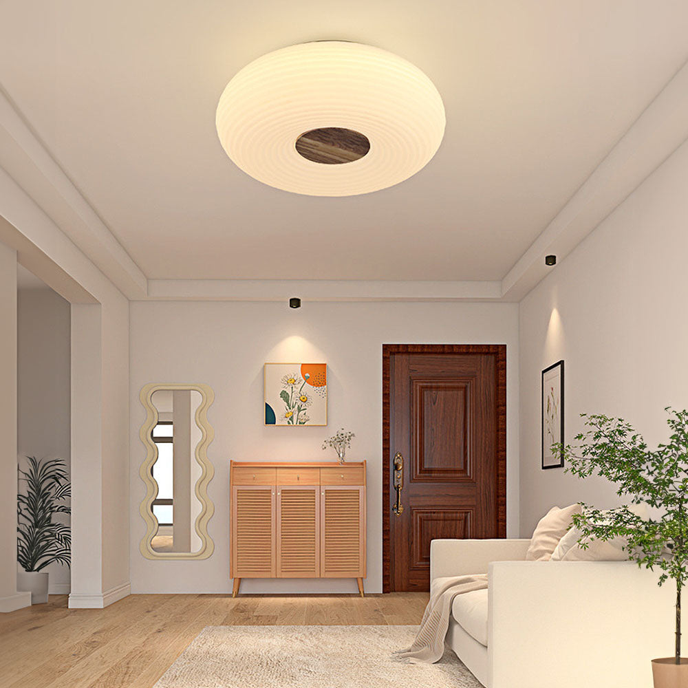 Organic Form LED Ceiling Light