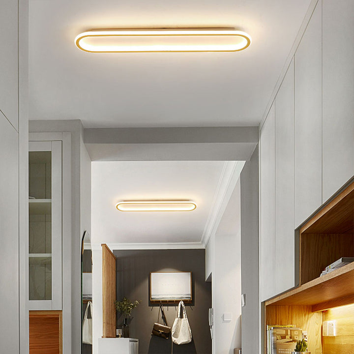 Modern LED Ceiling Light Fixture
