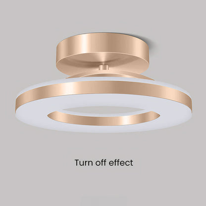 Modern LED Ceiling Lamp for the Hall