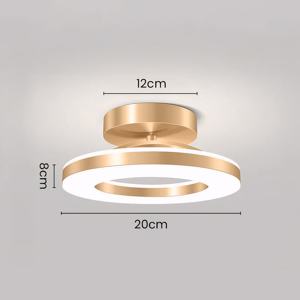 Ring LED Ceiling Light