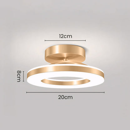 Modern LED Ceiling Lamp for the Hall