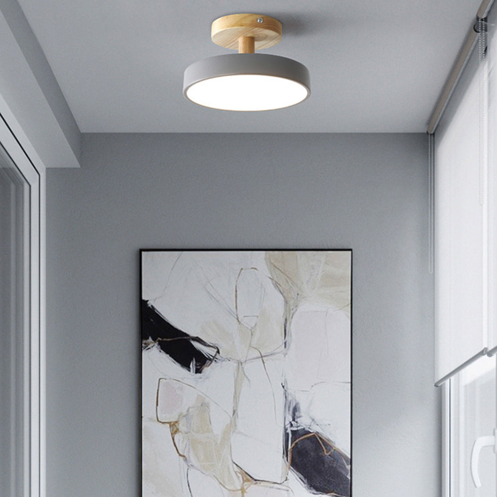 Round Iron LED Ceiling Light