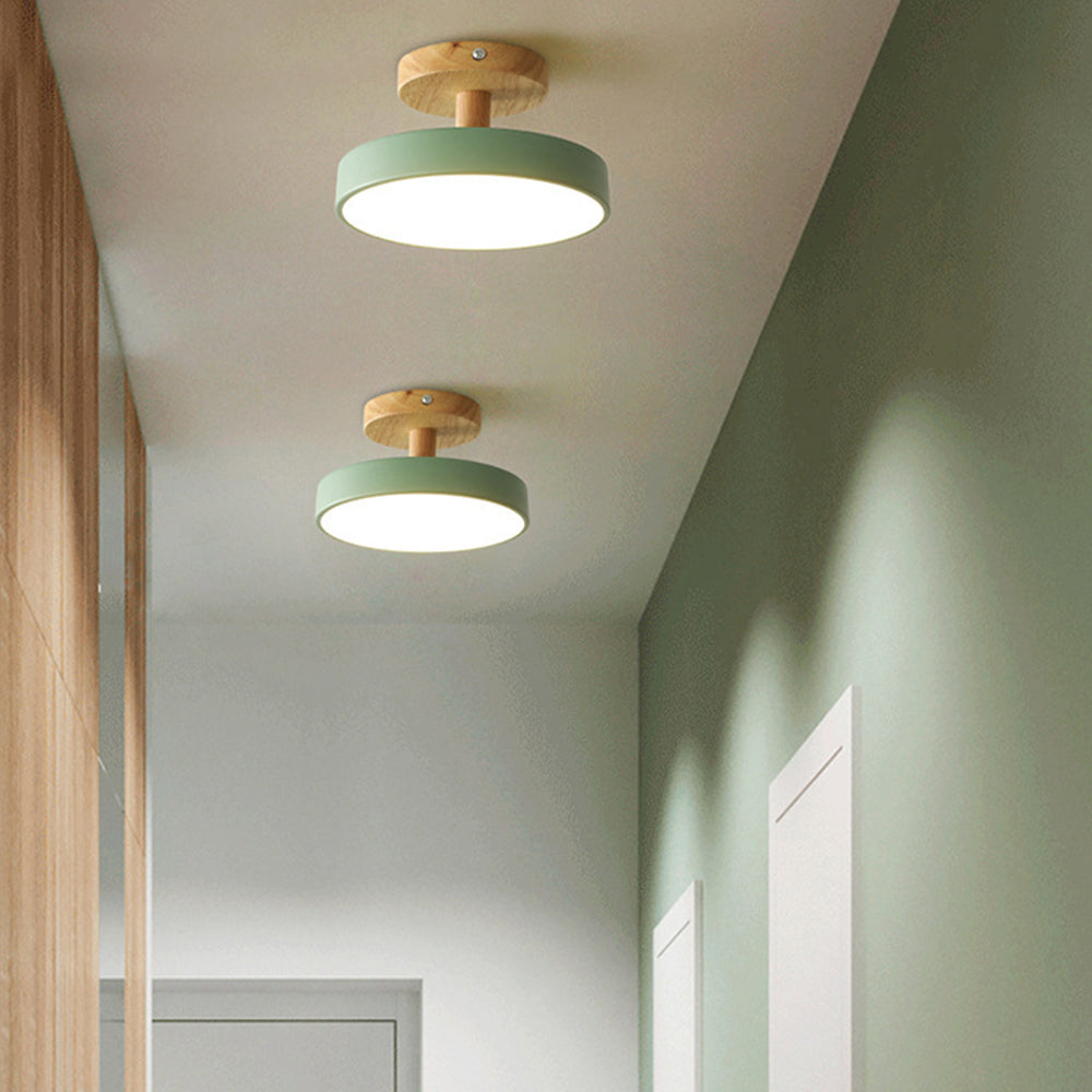 Round Iron LED Ceiling Light