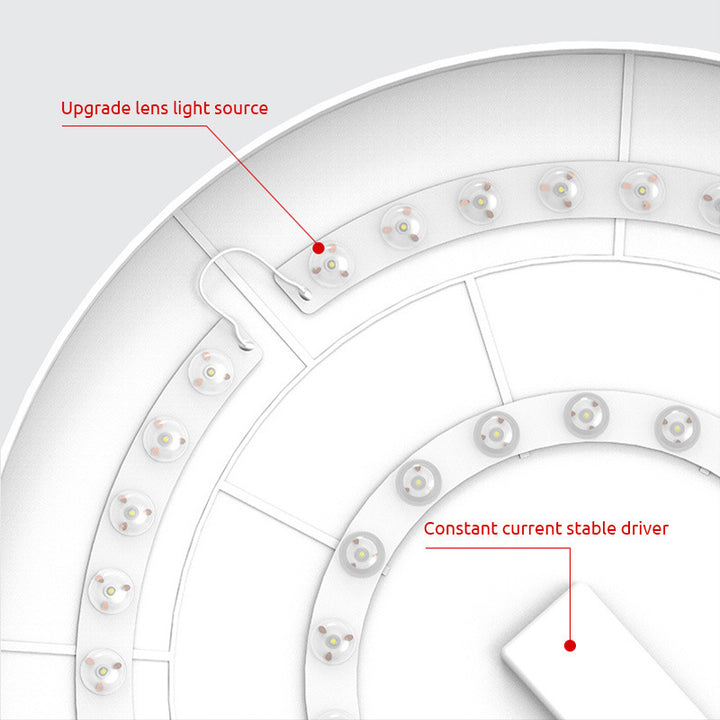 Modern LED Ceiling Light