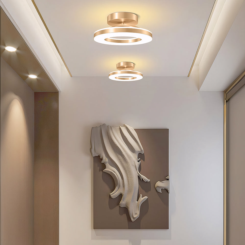 Modern LED Ceiling Lamp for the Hall