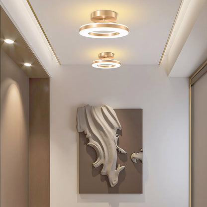 Modern LED Ceiling Lamp for the Hall
