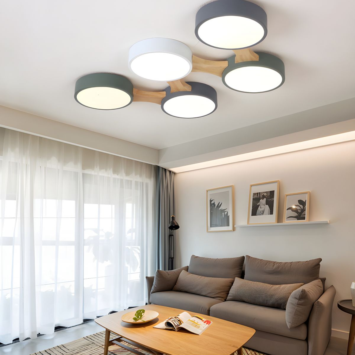 Contemporary Ceiling Light for Bedroom