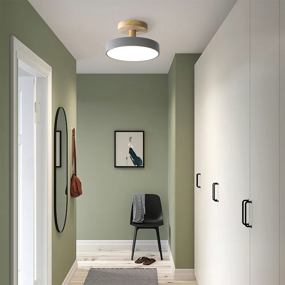 Round Iron LED Ceiling Light